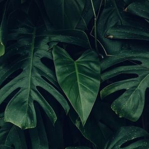 Hunter boots for Shari